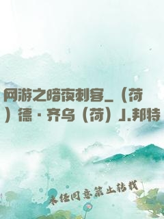 网游之暗夜刺客